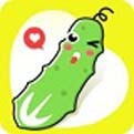 四叶草影视官方版