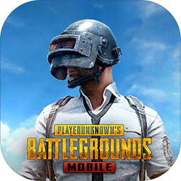PUBG小威国体ESP科技直装免费版下载